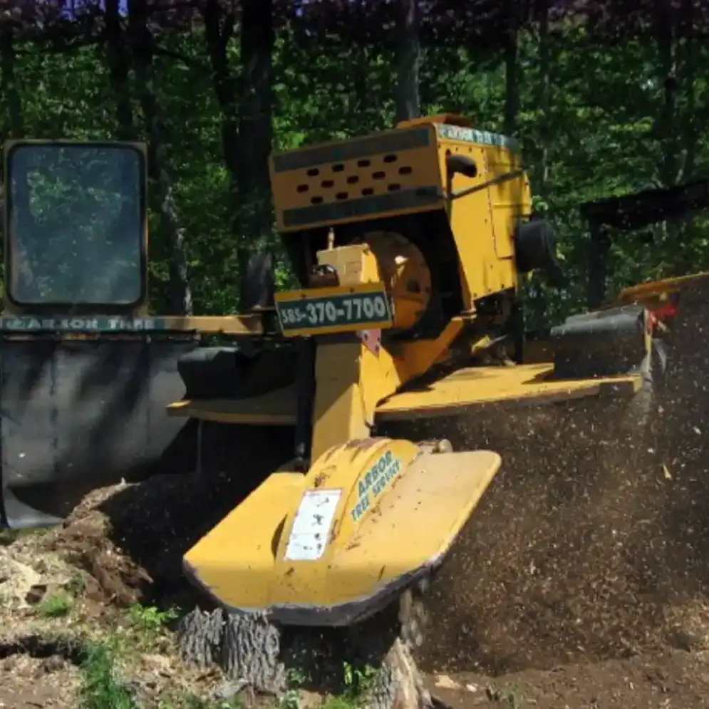 stump grinder in operation